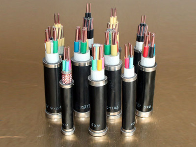 一站式五金電器解決方案 探訪石龍?zhí)┻_(dá)五金電器貿(mào)易部的多元化產(chǎn)品矩陣